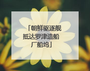 朝鲜驱逐舰抵达罗津造船厂船坞