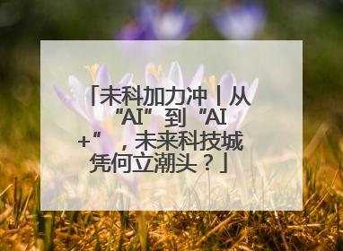 未科加力冲丨从“AI”到“AI+”，未来科技城凭何立潮头？