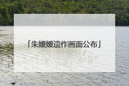 朱媛媛遗作画面公布