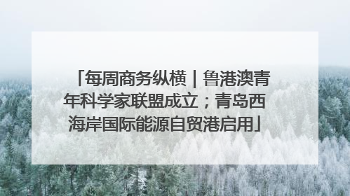 每周商务纵横｜鲁港澳青年科学家联盟成立；青岛西海岸国际能源自贸港启用