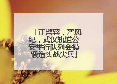 正警容，严风纪，武汉轨道公安举行队列会操锻造实战尖兵