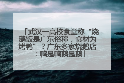 武汉一高校食堂称“烧鹅饭是广东俗称，食材为烤鸭”？广东多家烧鹅店：鸭是鸭鹅是鹅