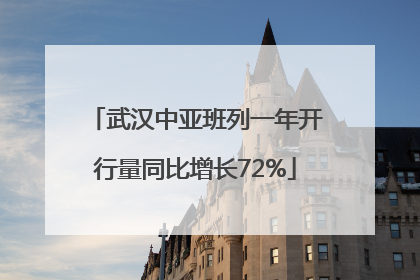 武汉中亚班列一年开行量同比增长72%