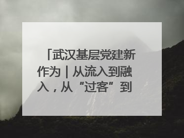武汉基层党建新作为｜从流入到融入，从“过客”到“先锋” 武汉为流动党员筑起温暖之家