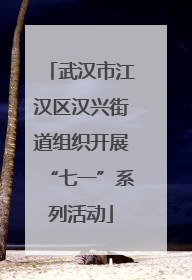 武汉市江汉区汉兴街道组织开展“七一”系列活动