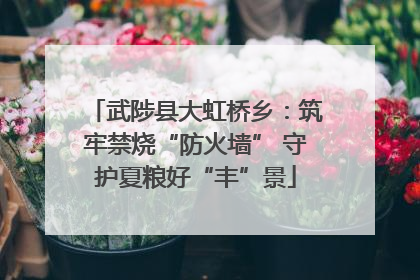 武陟县大虹桥乡：筑牢禁烧“防火墙” 守护夏粮好“丰”景