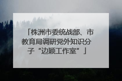株洲市委统战部、市教育局调研党外知识分子“边颖工作室”