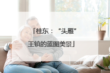 桂东：“头雁”王镇的蓝图美景