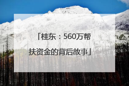 桂东：560万帮扶资金的背后故事