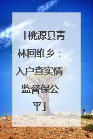 桃源县青林回维乡：入户查实情 监督保公平