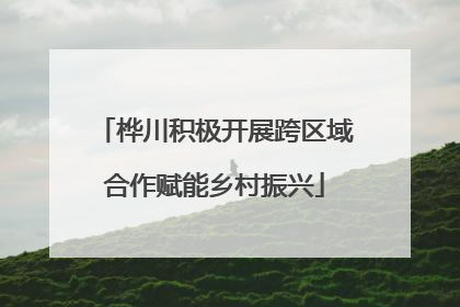 桦川积极开展跨区域合作赋能乡村振兴