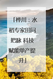 桦川：水稻专家田间把脉 科技赋能单产提升