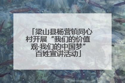 梁山县杨营镇同心村开展“我们的价值观·我们的中国梦”百姓宣讲活动
