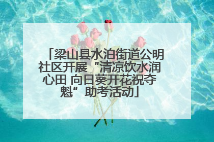 梁山县水泊街道公明社区开展“清凉饮水润心田 向日葵开花祝夺魁”助考活动