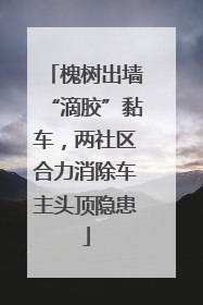 槐树出墙“滴胶”黏车，两社区合力消除车主头顶隐患