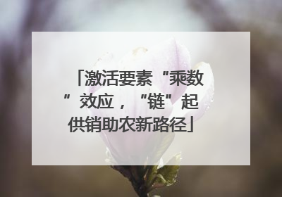 激活要素“乘数”效应，“链”起供销助农新路径