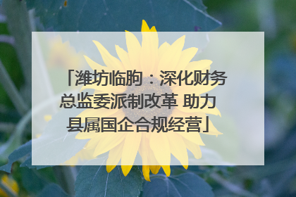 潍坊临朐：深化财务总监委派制改革 助力县属国企合规经营