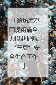潍坊寒亭固堤街道全力以赴护航“三夏”安全生产工作