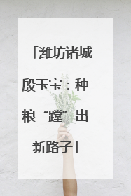 潍坊诸城殷玉宝：种粮“蹚”出新路子