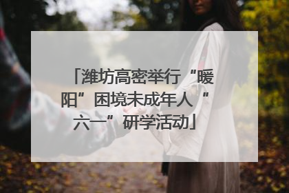 潍坊高密举行“暖阳”困境未成年人“六一”研学活动