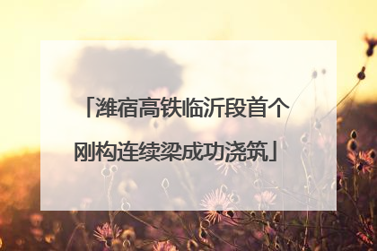 潍宿高铁临沂段首个刚构连续梁成功浇筑