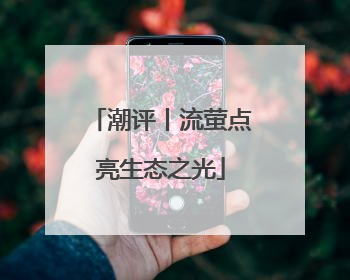 潮评丨流萤点亮生态之光