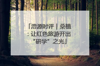 澧源时评｜桑植：让红色旅游开出“研学”之光
