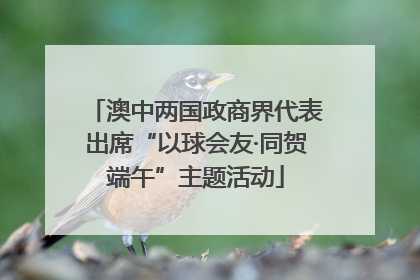 澳中两国政商界代表出席“以球会友·同贺端午”主题活动