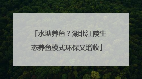 水塘养鱼？湖北江陵生态养鱼模式环保又增收