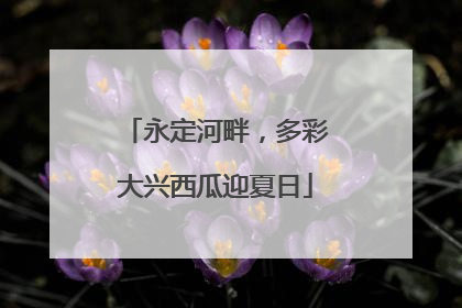 永定河畔，多彩大兴西瓜迎夏日