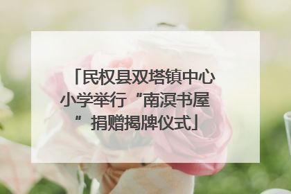 民权县双塔镇中心小学举行“南溟书屋”捐赠揭牌仪式