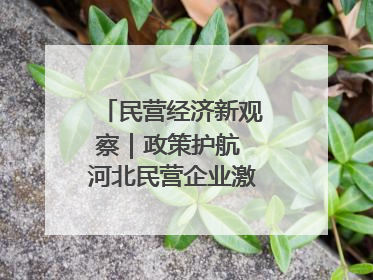 民营经济新观察｜政策护航 河北民营企业激发新“冀”遇