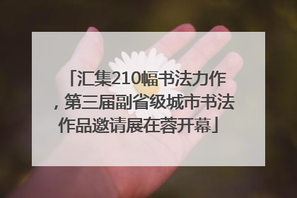 汇集210幅书法力作，第三届副省级城市书法作品邀请展在蓉开幕