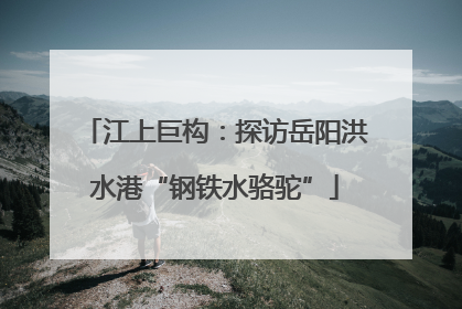 江上巨构：探访岳阳洪水港“钢铁水骆驼”
