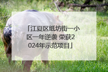 江夏区纸坊街一小区一年逆袭 荣获2024年示范项目