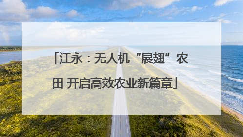 江永：无人机“展翅”农田 开启高效农业新篇章