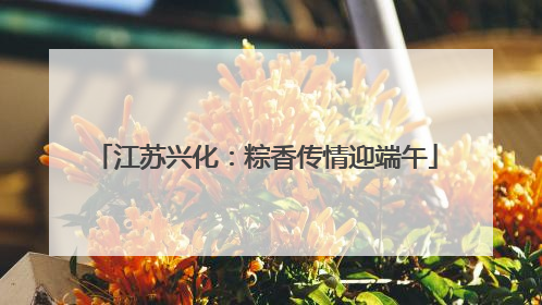 江苏兴化：粽香传情迎端午