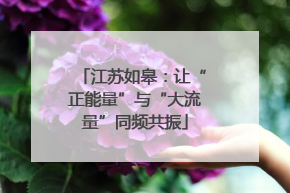 江苏如皋：让“正能量”与“大流量”同频共振
