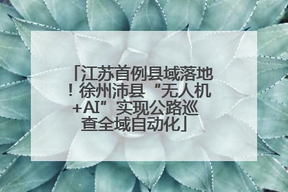 江苏首例县域落地！徐州沛县“无人机+AI”实现公路巡查全域自动化