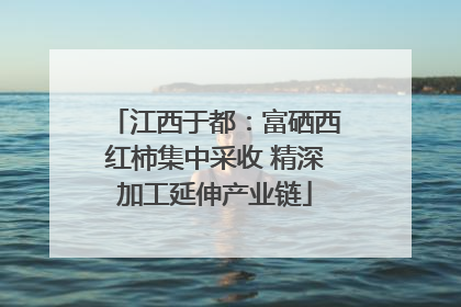 江西于都：富硒西红柿集中采收 精深加工延伸产业链