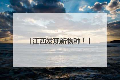 江西发现新物种！