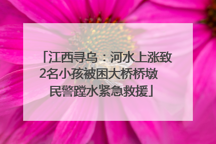 江西寻乌：河水上涨致2名小孩被困大桥桥墩 民警蹚水紧急救援