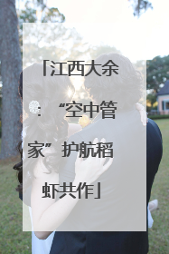 江西大余：“空中管家”护航稻虾共作