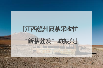 江西赣州夏茶采收忙 “新茶勃发”助振兴
