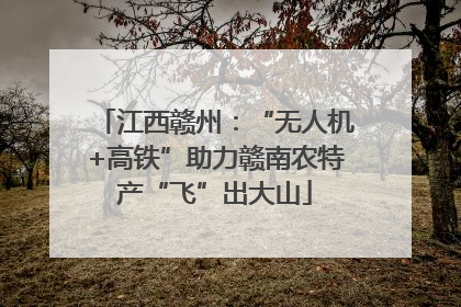 江西赣州：“无人机+高铁”助力赣南农特产“飞”出大山