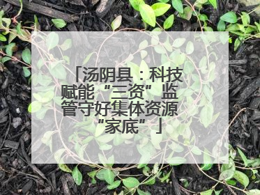 汤阴县：科技赋能“三资”监管守好集体资源“家底”