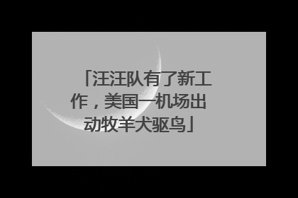 汪汪队有了新工作，美国一机场出动牧羊犬驱鸟
