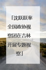 沈跃跃率全国政协视察团在吉林开展专题视察