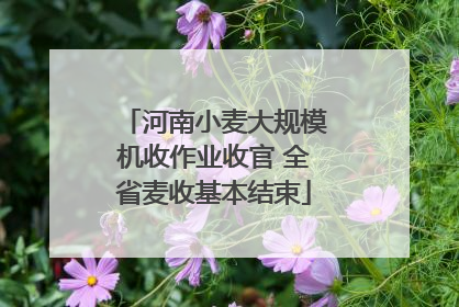 河南小麦大规模机收作业收官 全省麦收基本结束