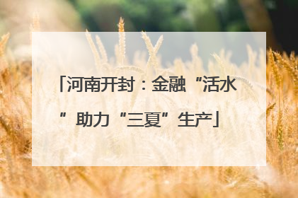 河南开封：金融“活水”助力“三夏”生产